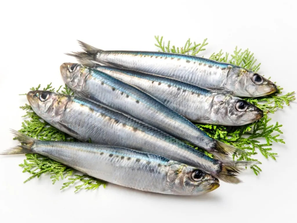 Skip Jack fish caught at the Chattanooga Dan. The entire fish  is used and decopmed in to a slurry. 4 tablespoons to a gallon of water. And just apply to your garden plants. Buy now soon they will be gone made at our Asparagus Farm for years. Buy Best!!
